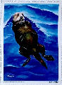 NWF 1964 Sea Otter