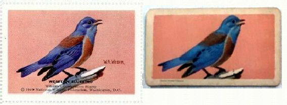 Compare a stamp to a tea card