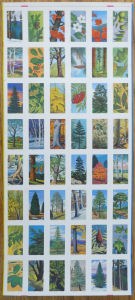 Series 11 Trees - Front