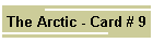 The Arctic - Card # 9
